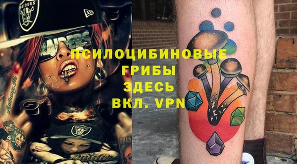 винт Лабытнанги