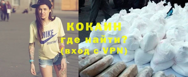 индика Ладушкин