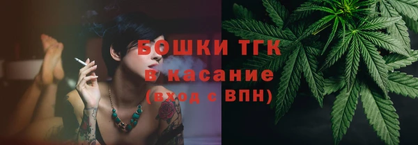 индика Ладушкин