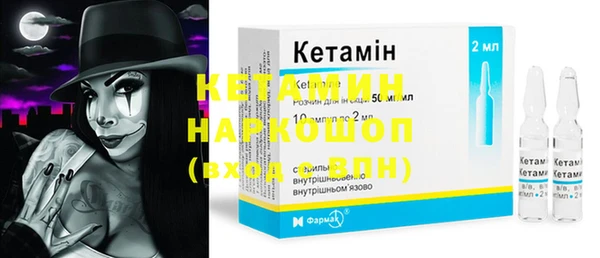 индика Ладушкин
