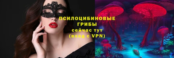 индика Ладушкин