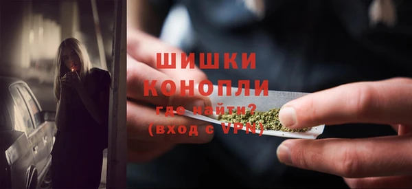 индика Ладушкин