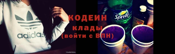 индика Ладушкин