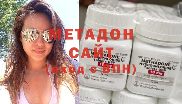 индика Ладушкин