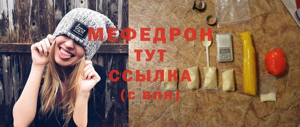 индика Ладушкин