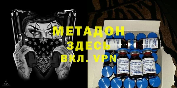 индика Ладушкин