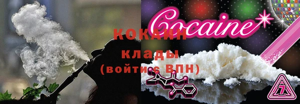 винт Лабытнанги