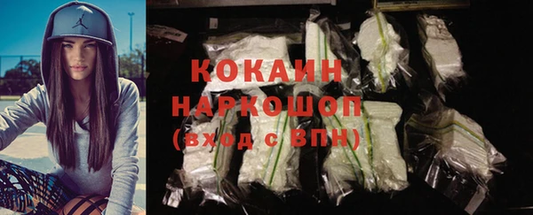 индика Ладушкин