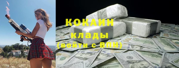индика Ладушкин