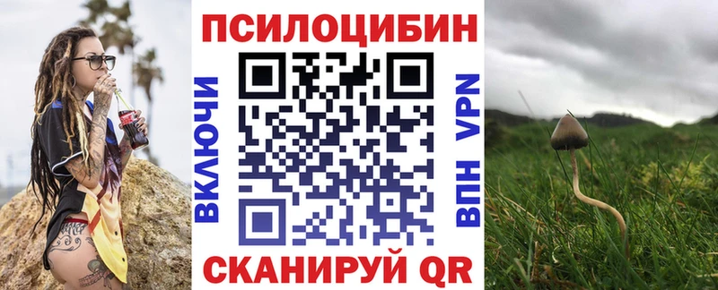 Псилоцибиновые грибы прущие грибы  Новопавловск 